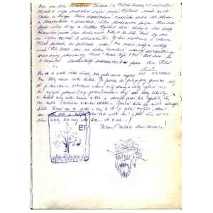 d057.jpg