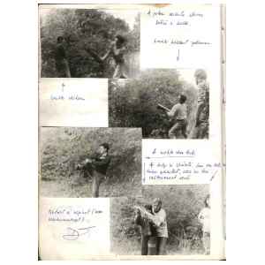 d076.jpg
