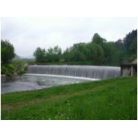 Hovezi06AT08.JPG