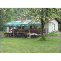 Hovezi06SD037.JPG