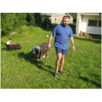 03053114.jpg